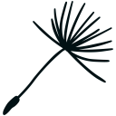 Eric Aubry - Conseil